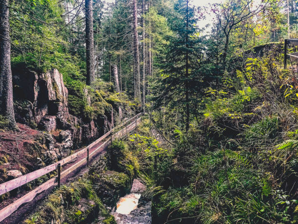 istock A small stony river with waterfalls in the Black Forest. 1381633851