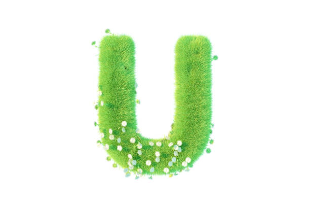 istock Letter U with Grass and Flowers Uppercase 1381637053