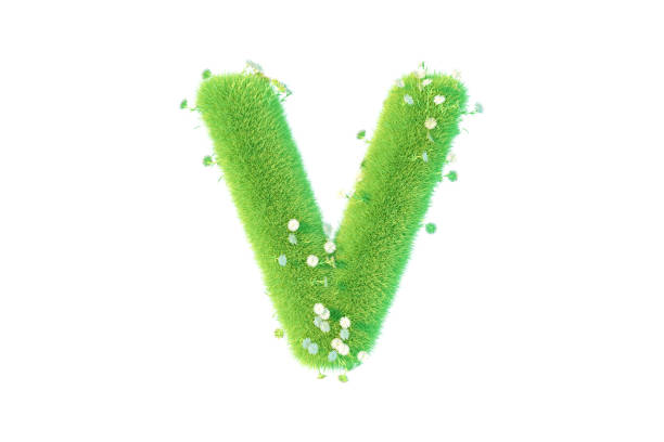 3D Rendering Letter V with Grass and Flowers Uppercase Alphabet