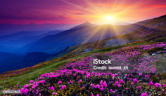 istock mountain landscape 1381637603