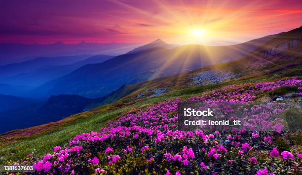 Mountain Landscape Stock Photo - Download Image Now - Sunrise - Dawn, Mountain, Flower