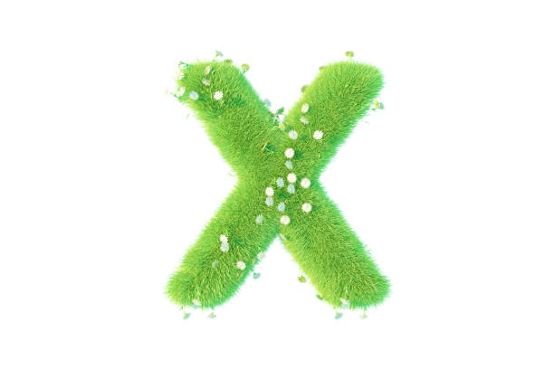 letter x with texture of fern leaves, font Helvetica Word, bold
