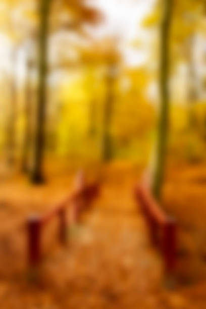 Unsharp picture of a Nordic forest