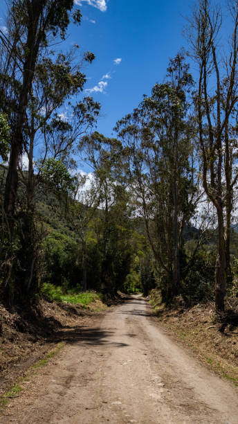 istock Road to the mountain 1381644407