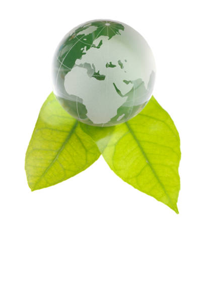 istock Green glass globe and leaves 138165139