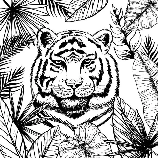 Vector illustration of Hand Drawn Black Ink Cheetah Head Surrounded By Leaves On A Transparent Background