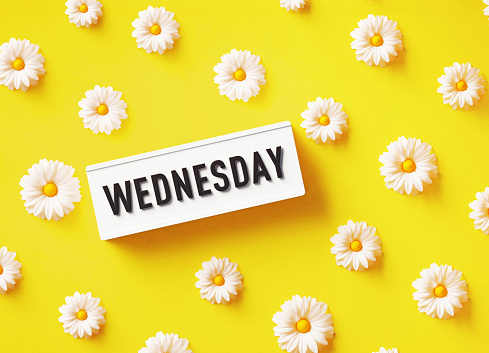 Wednesday written white lightbox sitting amid white daisies over  yellow background. Horizontal composition with copy space.