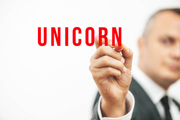 unicorn - foco em primeiro plano imagens e fotografias de stock