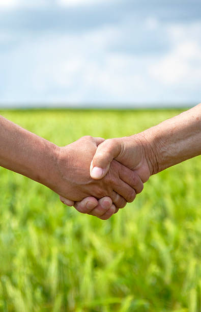 istock Farmers handshake in green wheat field. 138170369