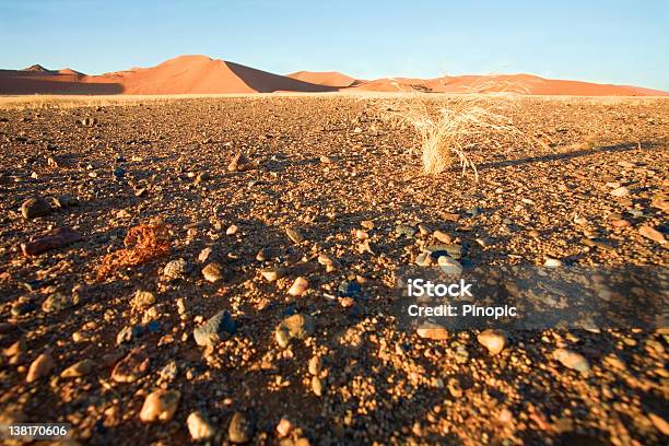 Deserto Del Namib Suolo - Fotografie stock e altre immagini di Africa - Africa, Ambientazione esterna, Ambiente