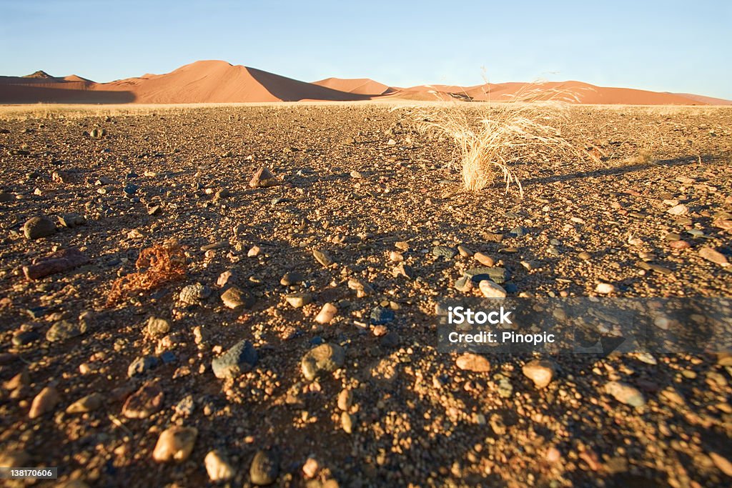 Deserto da Namíbia Solo - Royalty-free Amarelo Foto de stock