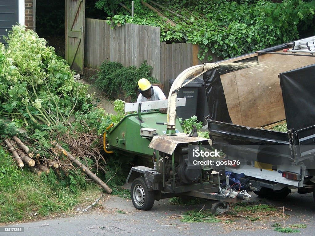 Route de nettoyage des branches d'arbre - Photo de Machinerie libre de droits