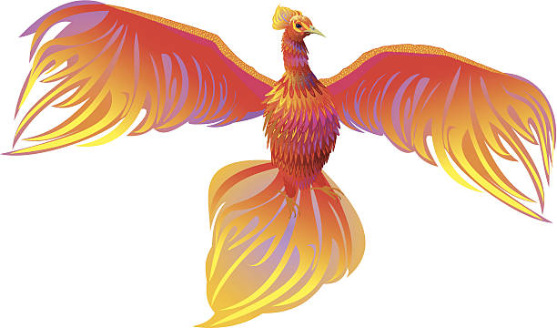 Phoenix A vecror image of a  fairy bird. Saved as EPS8, xar(CorelXara Xtreme) @ jpg phoenix arizona sun stock illustrations