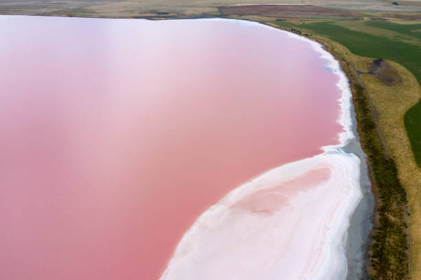 istock Pink Lake Australia 1381723865
