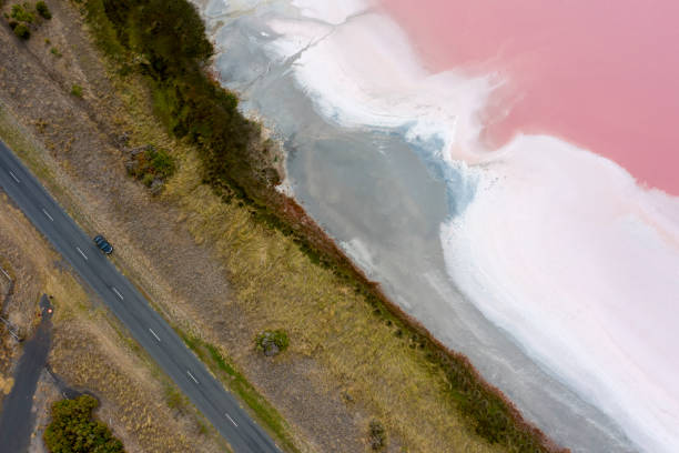 istock Pink Lake Australia 1381725804