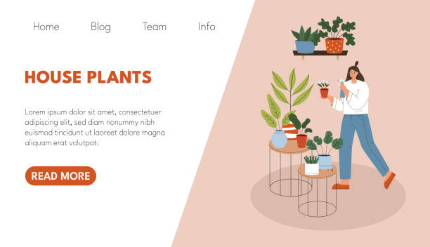 illustrazioni stock, clip art, cartoni animati e icone di tendenza di modello di sito web con pianta domestica a spruzzo per donna - florist flower gardening store