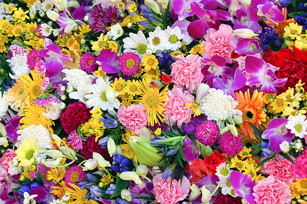 Wall of beautiful flowers