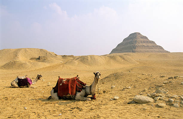sakkarah と zoser のステップのピラミッド - saqqara ストックフォトと画像