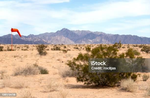 Mesquite And Windsock Stock Photo - Download Image Now - Mesquite Tree, Sonoran Desert, Arid Climate