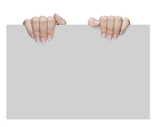 istock gesture of female hand holding a blank 138175900