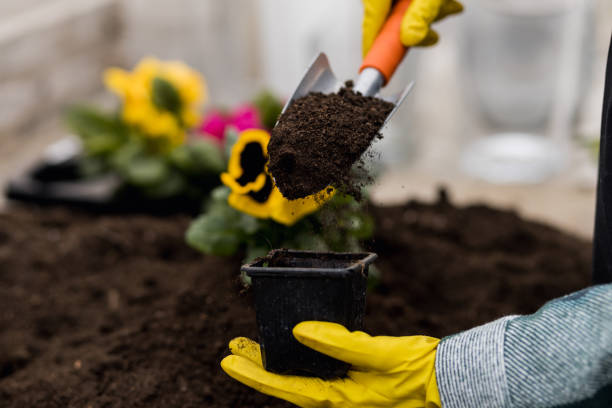 istock Florist wearing yellow gloves using gardening tools 1381772490