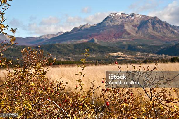Jesień Kolory W El Boliche Bariloche Patagonia Argentyna - zdjęcia stockowe i więcej obrazów Ameryka Południowa