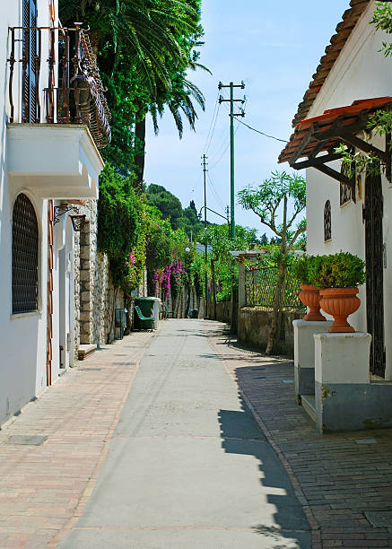 istock Narrow streets of Capri island 138178573