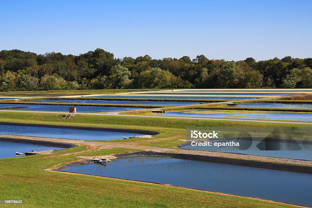 Fish Hatchery - Lizenzfrei Fischzucht Stock-Foto