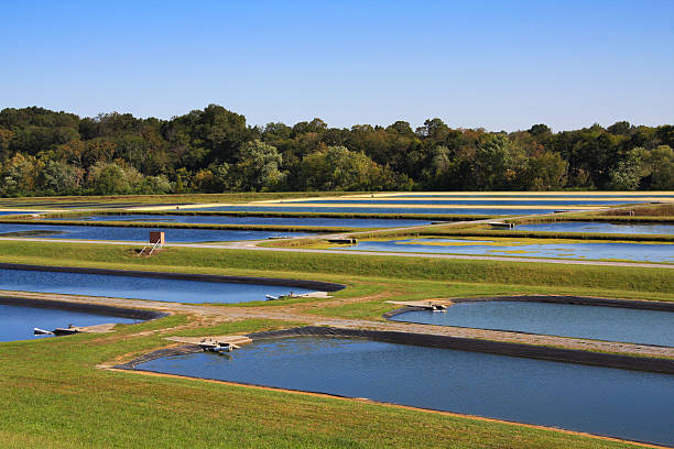 Fish Hatchery – Foto