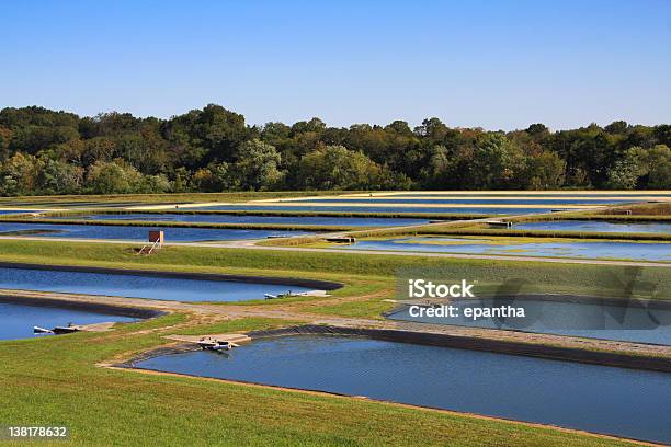 Fish Hatchery Stockfoto und mehr Bilder von Fischzucht - Fischzucht, Aquakultur, Teich