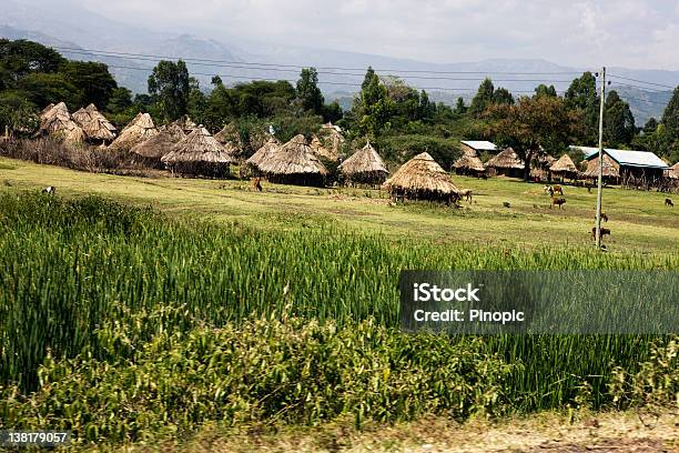 Al Pueblo Etíope Con Campo De Maíz Foto de stock y más banco de imágenes de Agricultura - Agricultura, Etiopía, Maíz - Zea