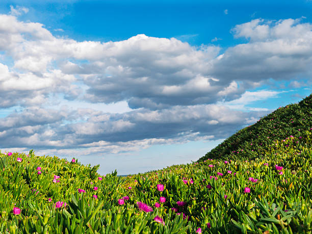 istock Colorful landscape 39 megapixels 138179345