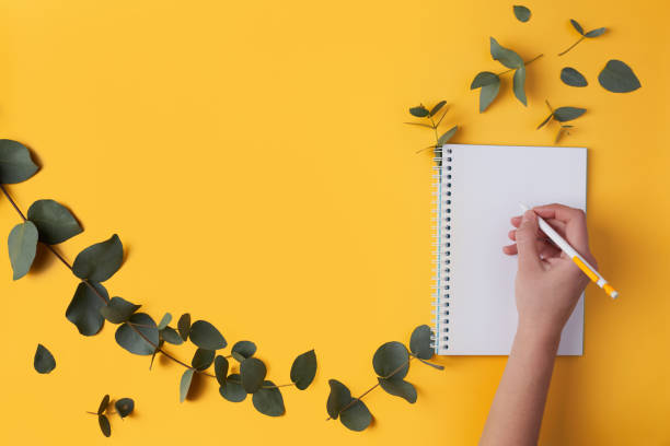 des feuilles d’eucalyptus et un cahier, la main d’une femme écrit avec un stylo. arrière-plan jaune, espace de texte, espace de copie. - palm leaves photos et images de collection