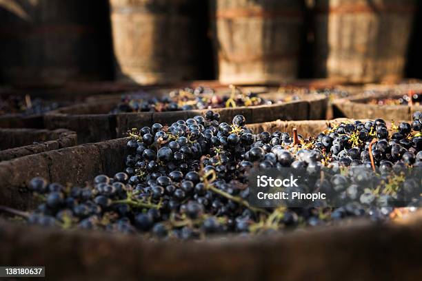 Grenache Uvas Para Que Vino Foto de stock y más banco de imágenes de Uva - Uva, Barril, Madera - Material