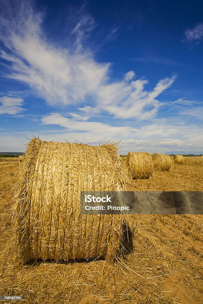 Hay Bales und sky - Lizenzfrei Landwirtschaft Stock-Foto