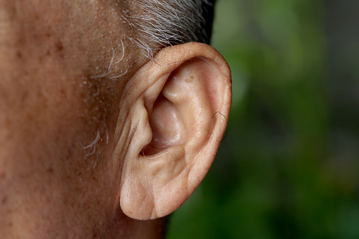 An Asian senior man's ear.