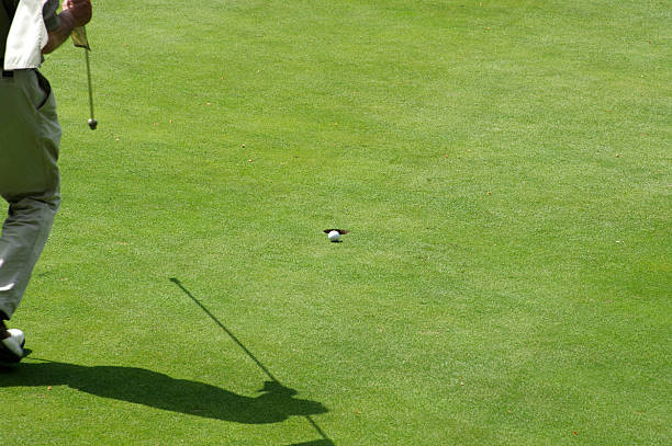 golf ball falling down está en el orificio pasante - putting down fotografías e imágenes de stock