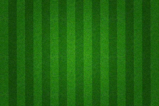 istock Background of green grass soccer field pattern 138187058
