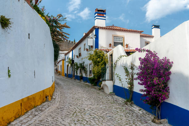 Typical street of the medieval village of Óbidos in Portugal . Typical street of the medieval village of Óbidos in Portugal obidos photos stock pictures, royalty-free photos & images
