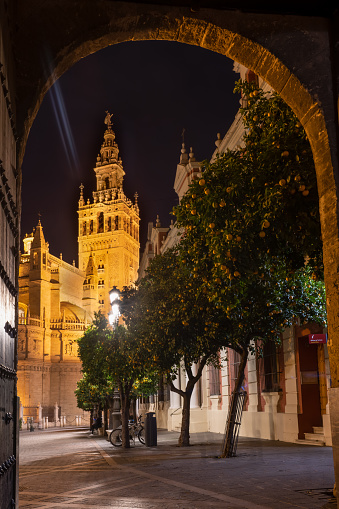night view of the cathedral of sevilla in spain