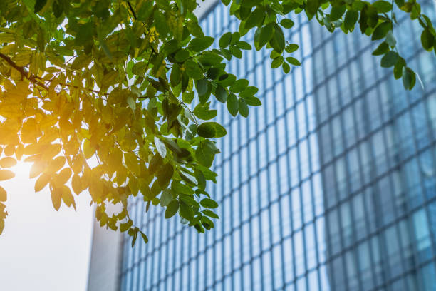 istock modern office building with green leaves 1381897831