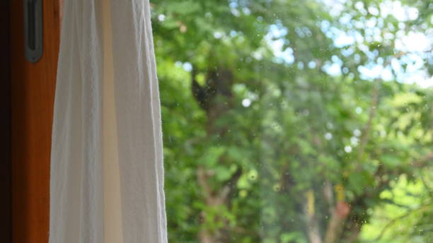 istock curtain in the room with natural background 1381903761