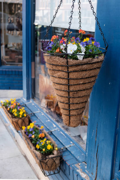 istock Spring flowers outside a shop window 1381906281