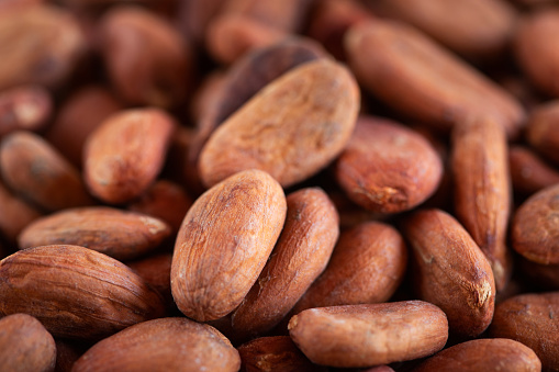 Cacao Beans macro close up