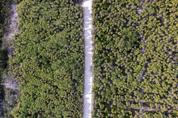 istock Aerial Tulum - Mexico 1381921266