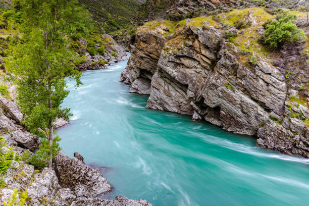 ущелье реки каварау, аотеароа новая зеландия, весенний день - kawarau river стоковые фото и изображения