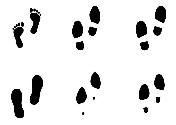 Human Various footprint icon material set Human Various footprint icon material set, barefoot, shoes, High heel, man high heel footprint stock illustrations