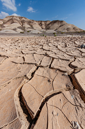Mudcracks in the floor of Death Valley National Park, California.
