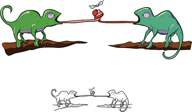 two lizards getting tangled up Two lizards getting tongue tied going after the same fly. A separate outline layer is included. lizard eating stock illustrations