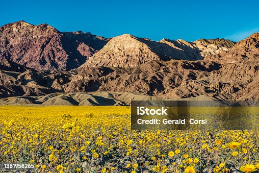 istock Devil's Golf Course in Death Valley National Park, California. A large salt pan on the floor of the valley. 1381958265